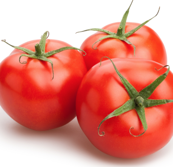 Tomato